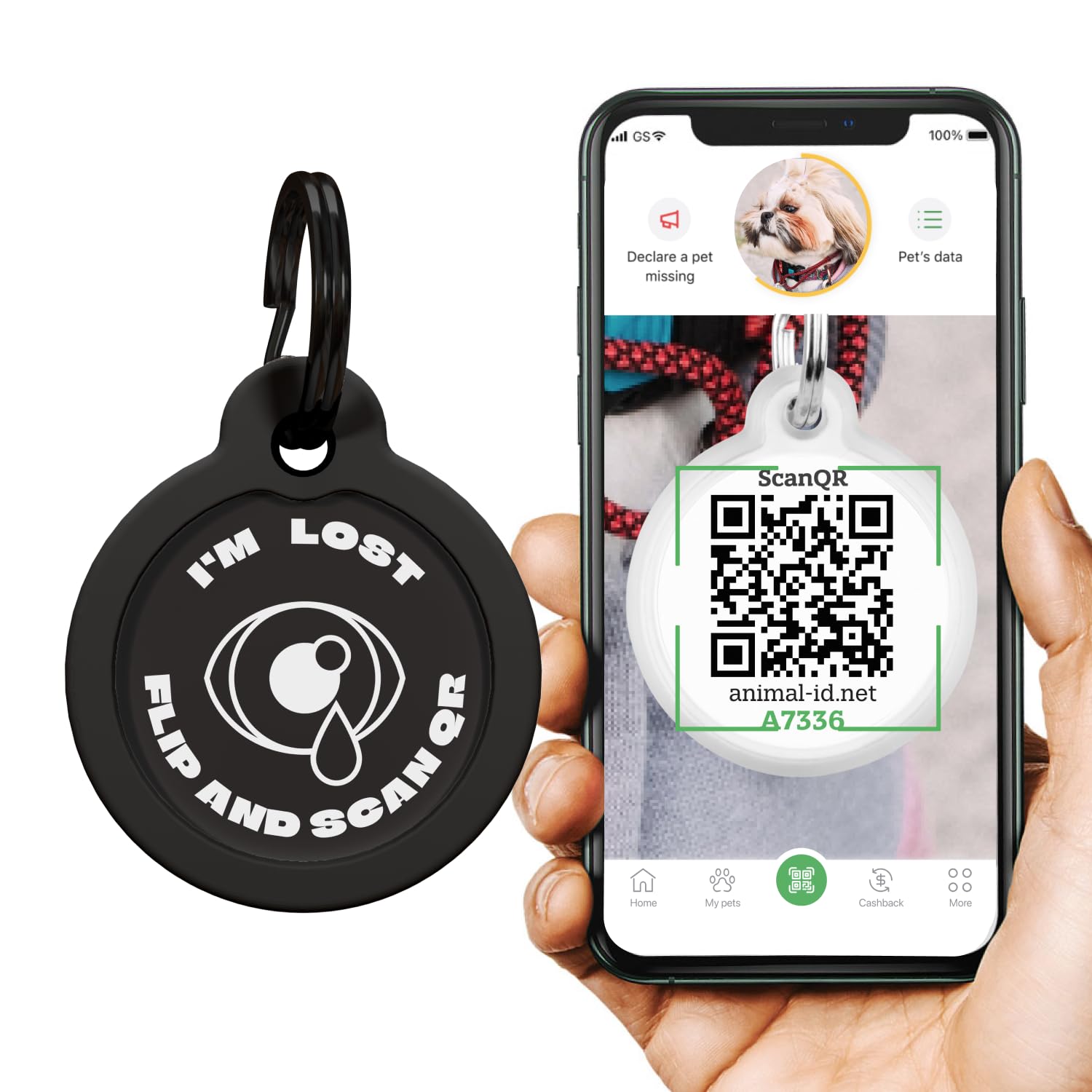 QR Code Dog Tag Pet ID Tags for Dogs - Silent Dog Tags Personalized for Pets - QR Tag to Pet Online Profile - Stainless Steel Dog Tag with Rubber Silencer (Im Lost Tear)